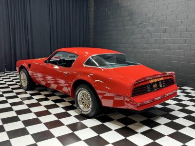 1977 Pontiac Firebird Trans Am