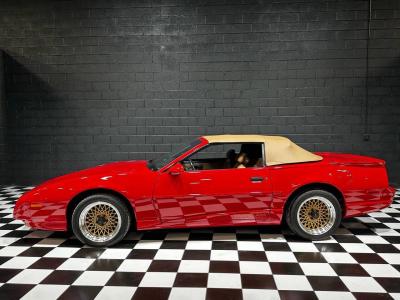1991 Pontiac Firebird