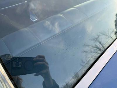 1966 Chevrolet Chevelle