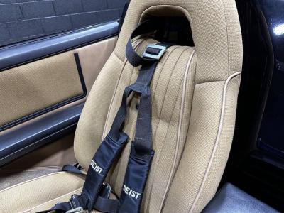 1983 Pontiac Firebird