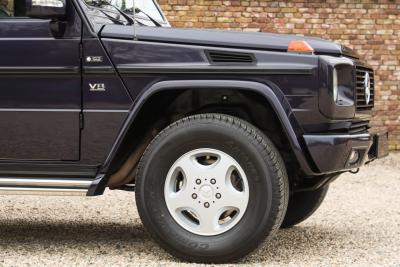 1993 Mercedes - Benz Mercedes Benz 500 GE V8 &ldquo;The trendsetter in &rdquo; INCL. VAT