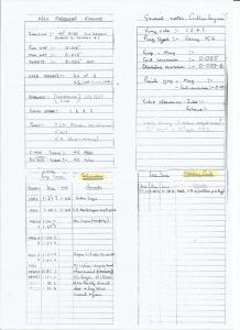 Riley 9 SPECIAL BROOKLANDS STYLE