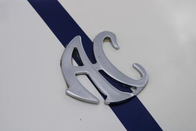 2011 Cobra PILGRIM SUMO