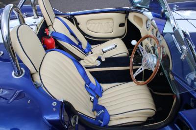 2011 Cobra PILGRIM SUMO