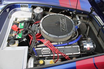 2011 Cobra PILGRIM SUMO