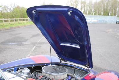 2011 Cobra PILGRIM SUMO