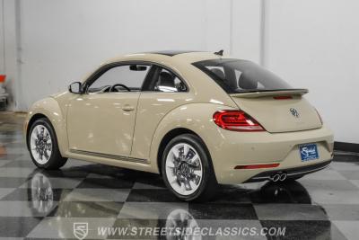 2019 Volkswagen Beetle 2.0 T Final Edition SEL