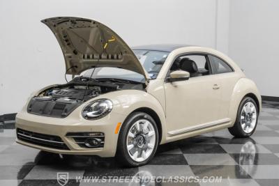 2019 Volkswagen Beetle 2.0 T Final Edition SEL