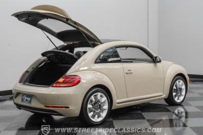 2019 Volkswagen Beetle 2.0 T Final Edition SEL