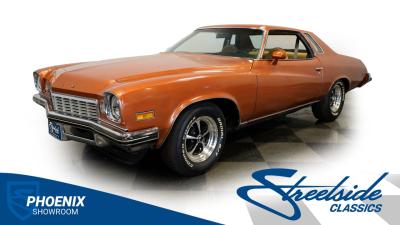 1974 Buick Century Luxus