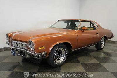 1974 Buick Century Luxus