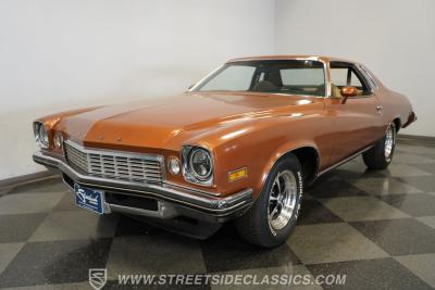 1974 Buick Century Luxus