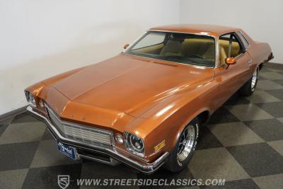 1974 Buick Century Luxus