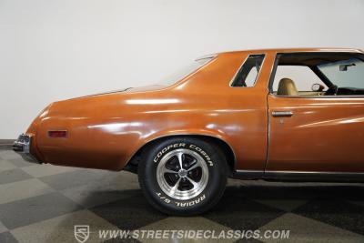 1974 Buick Century Luxus