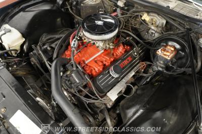 1974 Buick Century Luxus