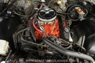 1974 Buick Century Luxus