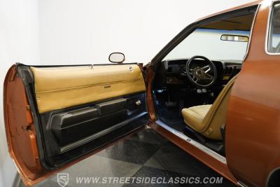 1974 Buick Century Luxus