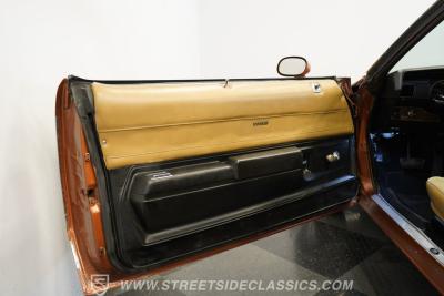 1974 Buick Century Luxus