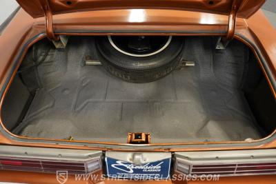 1974 Buick Century Luxus