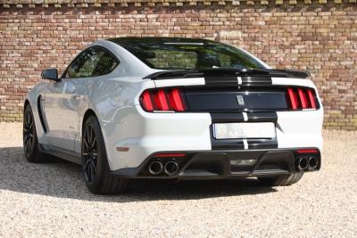 2017 Ford Mustang Shelby GT350 &ldquo;Avalanche&rdquo;