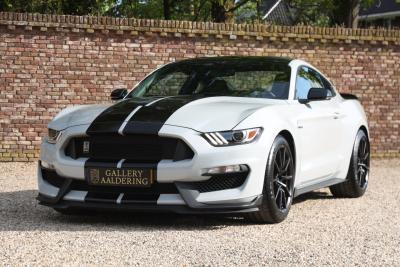 2017 Ford Mustang Shelby GT350 &ldquo;Avalanche&rdquo;