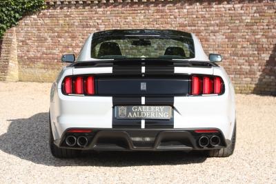 2017 Ford Mustang Shelby GT350 &ldquo;Avalanche&rdquo;