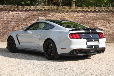 2017 Ford Mustang Shelby GT350 &ldquo;Avalanche&rdquo;