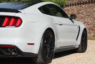 2017 Ford Mustang Shelby GT350 &ldquo;Avalanche&rdquo;