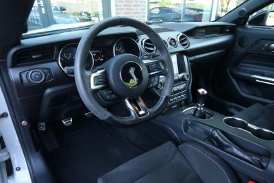 2017 Ford Mustang Shelby GT350 &ldquo;Avalanche&rdquo;