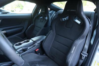 2017 Ford Mustang Shelby GT350 &ldquo;Avalanche&rdquo;