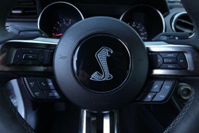 2017 Ford Mustang Shelby GT350 &ldquo;Avalanche&rdquo;