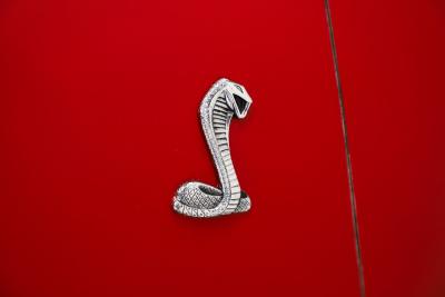 1970 Ford Shelby GT500