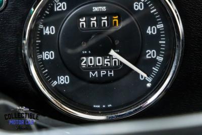 1966 Shelby Cobra ERA