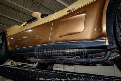 1979 Chevrolet Corvette