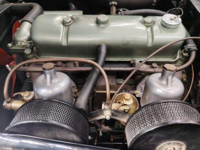 1956 Austin - Healey 100-4 BN2