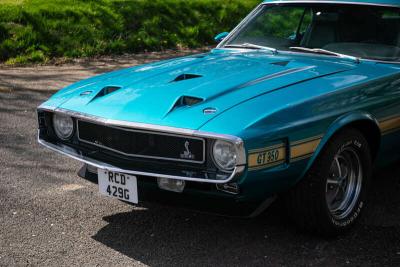 1969 Ford SHELBY MUSTANG