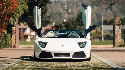 2008 Lamborghini Murci&eacute;lago LP640-4 Roadster