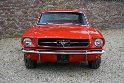 1965 Ford Mustang 289 Fastback &ldquo;An A-code in Triple Red&rdquo;