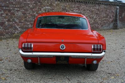 1965 Ford Mustang 289 Fastback &ldquo;An A-code in Triple Red&rdquo;