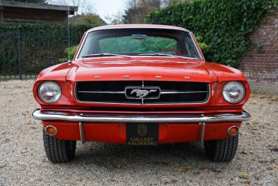 1965 Ford Mustang 289 Fastback &ldquo;An A-code in Triple Red&rdquo;