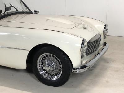 1954 Swallow Doretti