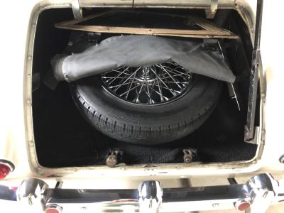1954 Swallow Doretti