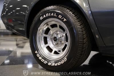 1981 Chevrolet Corvette