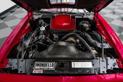 1979 Pontiac Firebird Trans Am