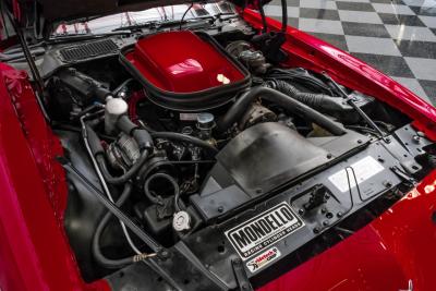 1979 Pontiac Firebird Trans Am