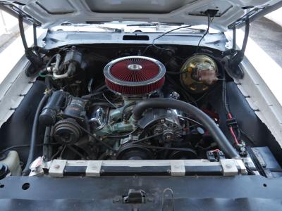 1970 Pontiac GTO Judge Tribute