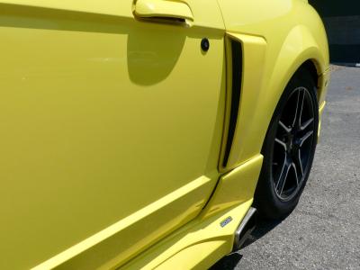 2001 Ford Mustang GT Roush Stage 2