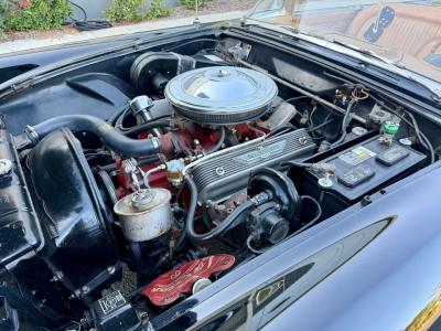 1956 Ford Thunderbird