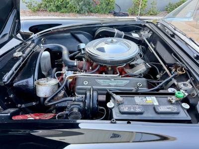 1956 Ford Thunderbird