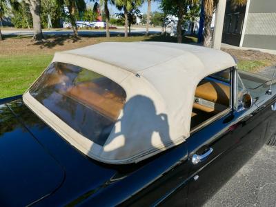 1956 Ford Thunderbird